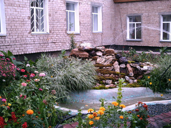 Кокшетауское Мсу Приемная