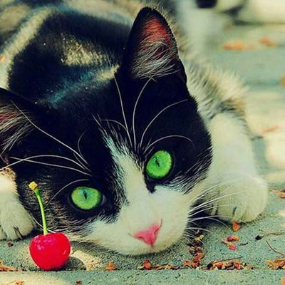 Лера Афанасенкова