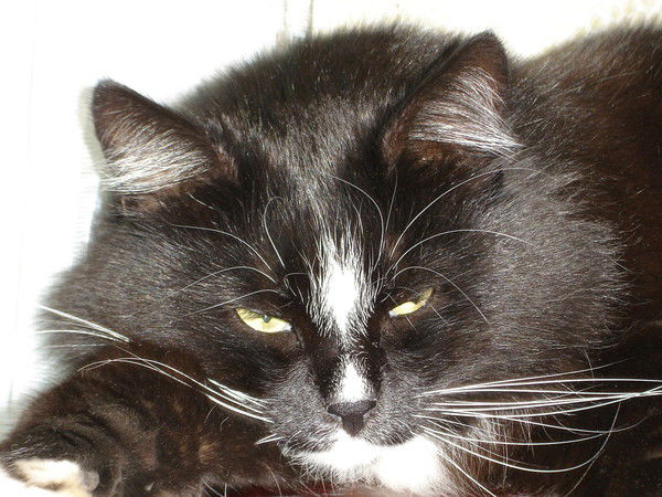 Татьяна Лукомская