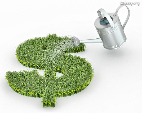 Мастер Полива