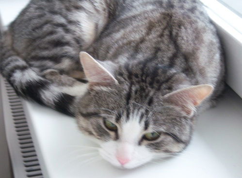 Татьяна Такая