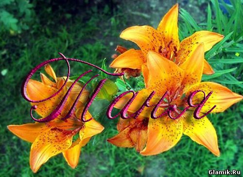 Татьяна Чугунова