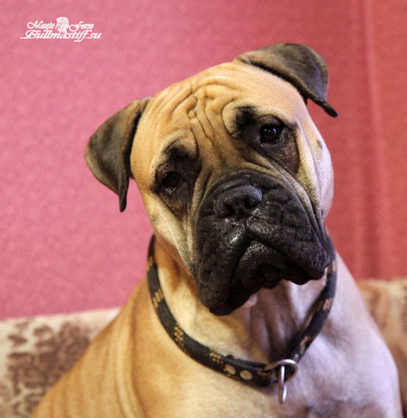 Екатерина Борисова