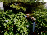 Лана Стороженко