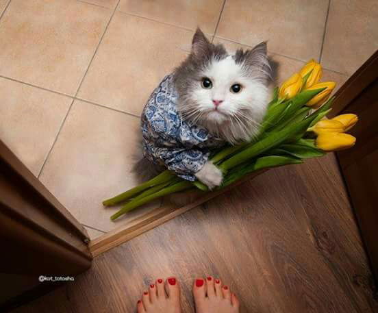 Танюшка Водолейчик