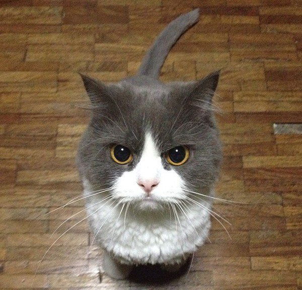 Арина Смирнова