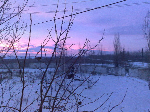 Лаврентьев Алексей