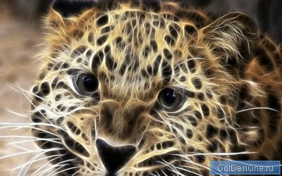 Белокурова Анастасия