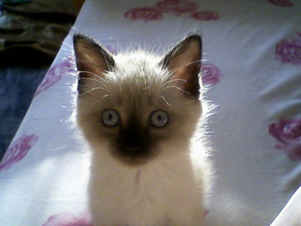 Кристина Гладкова