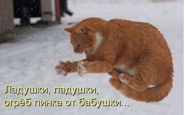 Александр Кравченко