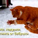 Александр Кравченко