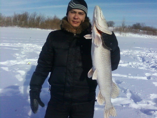 Евгений Рогулин