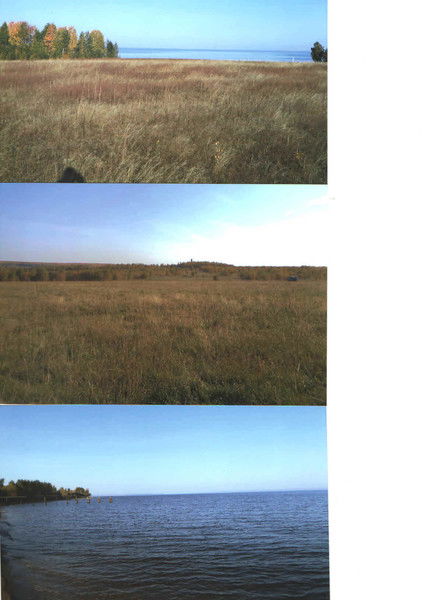 Андрей Никифоров