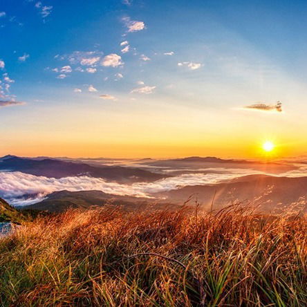 Татьяна Курлукова