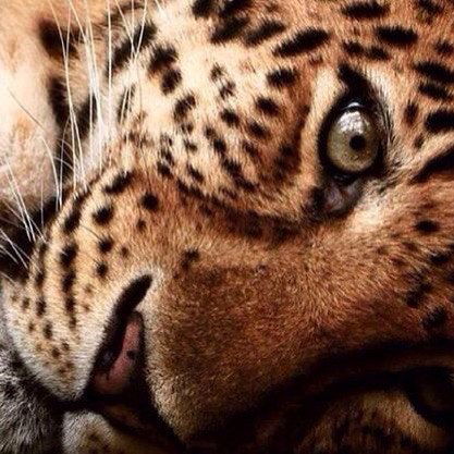 Назым Куанбекова