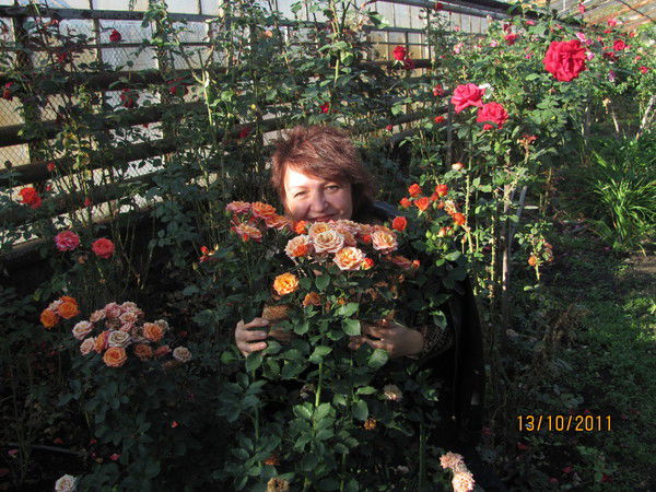 Ирина Комарова