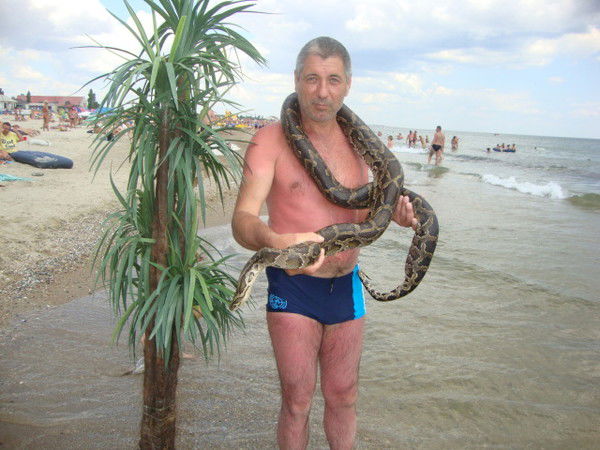 Александр Рознован