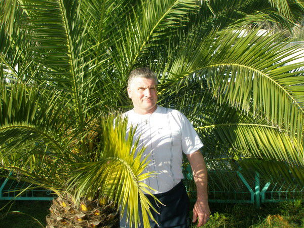 Генадий Бурков