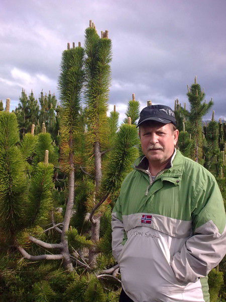 Владимир Петров