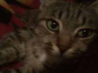 Ирина Петровна