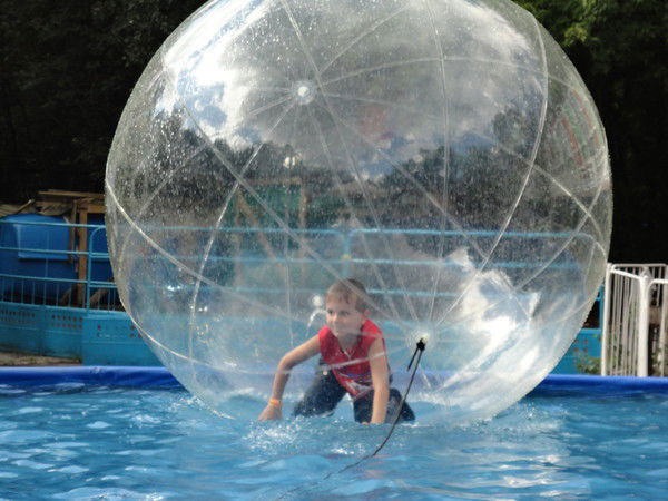 Катя Чеснокова