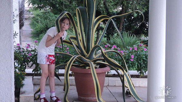 Елизавета Мирова