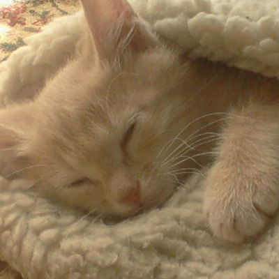 Эльвина Юсупова