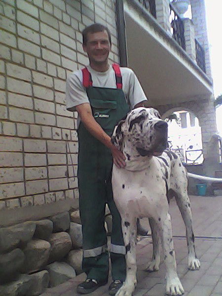 Александр Притчин