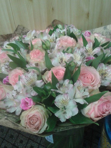 Алексей Алексеев Я