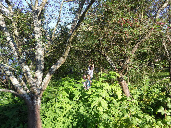 Михайло Артимко