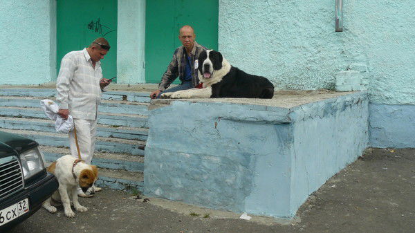 Дмитрий Генерозов