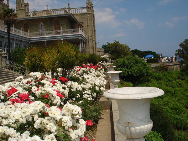 Ира Яковчук