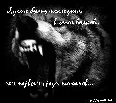 Мадияр Умурзаков