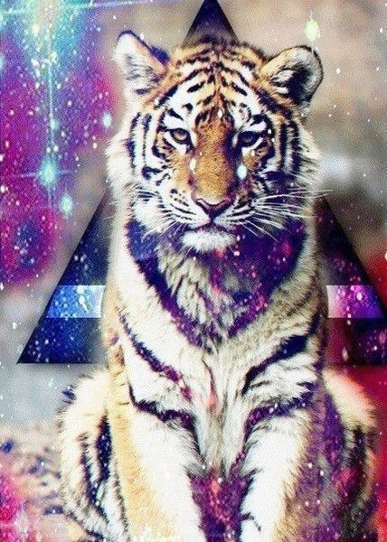 Юлия Емельянова