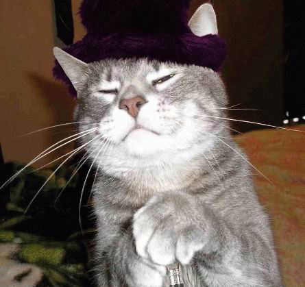 Виталий Борондуков