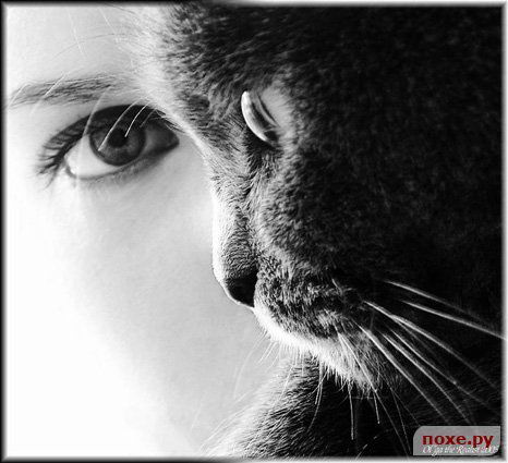 Ирина Сигаева