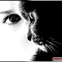 Ирина Сигаева