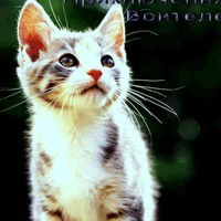 Диана Исоян