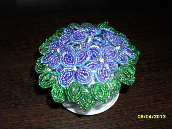 Марина Лисицких