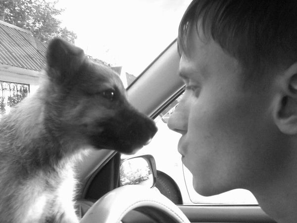 Максим Новицкий