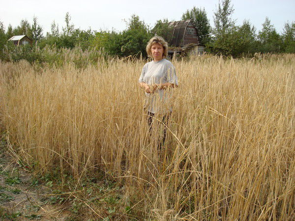 Светлана Церуш