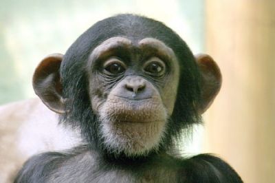 Виктор Хрусталёв