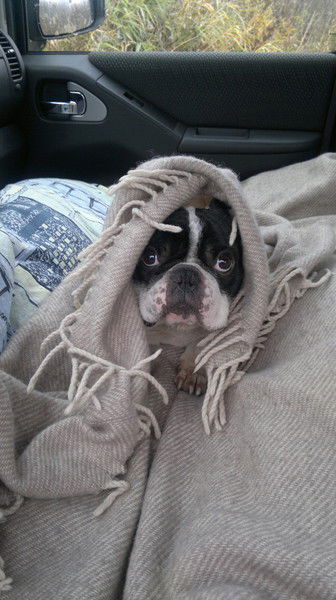 Жорик Вартанов