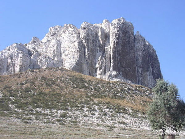 Рыбачок Новичок