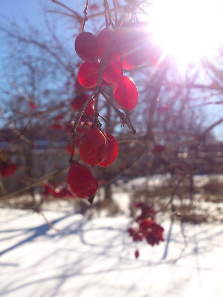 Мария Ломакина