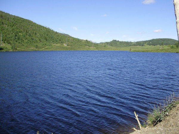 Мария Ермолова