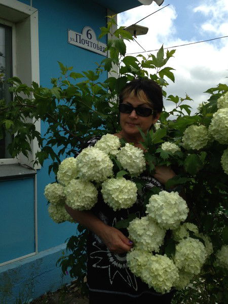 Елена Тарасова