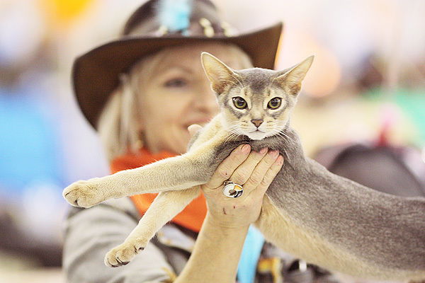 Елена Максимова