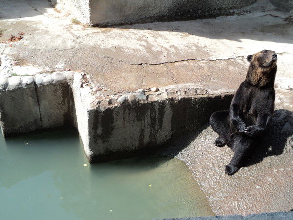 Серафима Джукаева