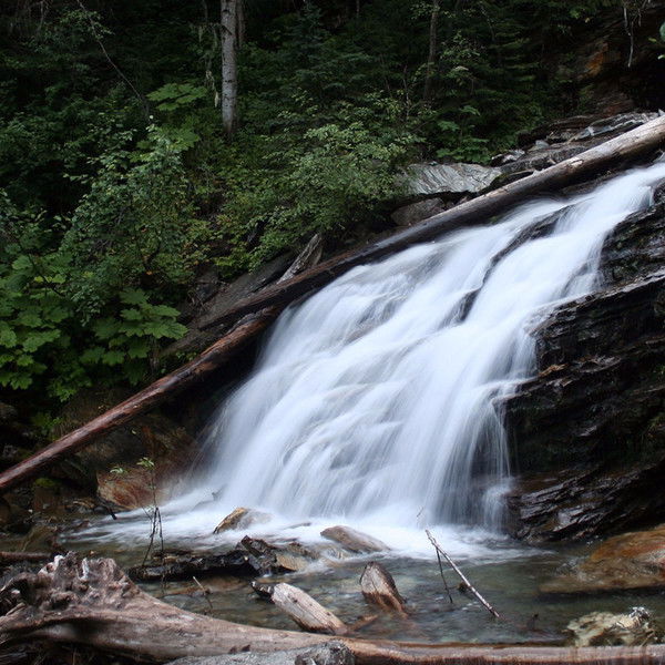 Елена Ганиева